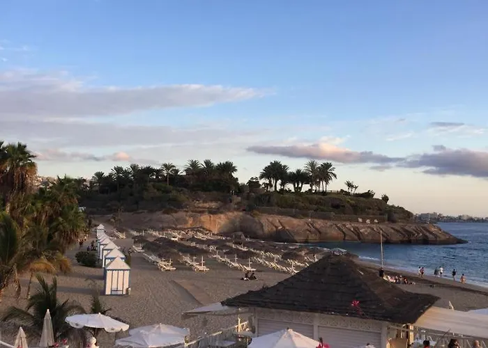 Yucca Fanabe アデヘ